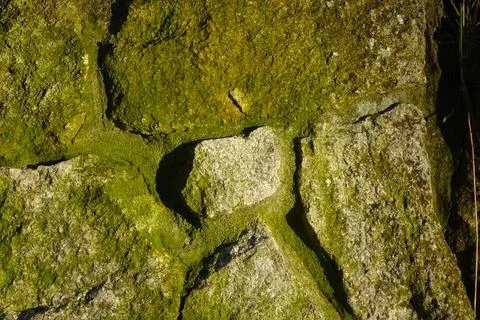 Ancient Stone Wall Texture Featuring Moss-Covered Boulders in a Natural Setti Stock Photos