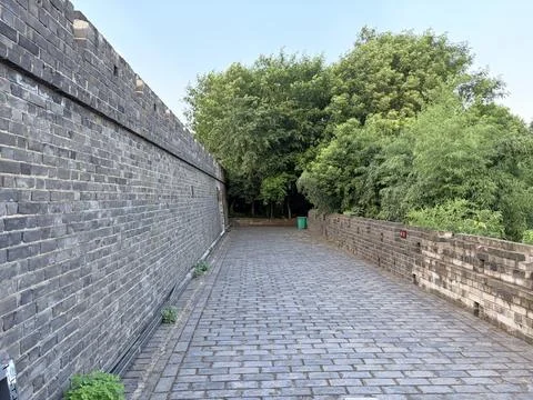 Ancient stone wall with trees and bushes. Фото