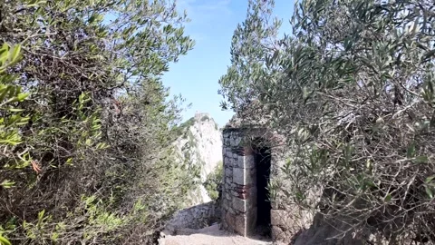 Ancient stone watchtower hut framed by olive trees in Gibraltar Stock Footage 346453881