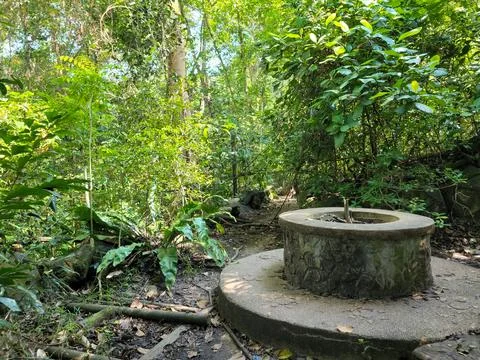 Ancient stone well sits in dense green forest Stock Photos
