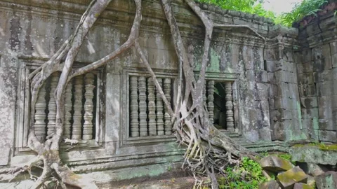 Ancient stone windows overgrown with tree roots, Prasat Beng Mealea, Cambodia Stock Footage 335666163
