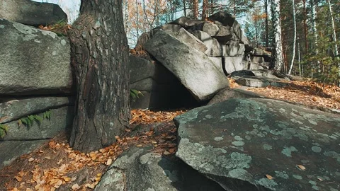 Ancient stones in the forest. Stock Footage 141462008