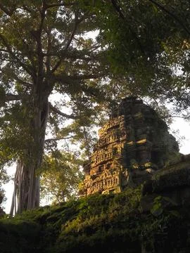 Ancient Ta Prohm Temple Tower With Giant Tree In Cambodian Jungle Stockfoto's