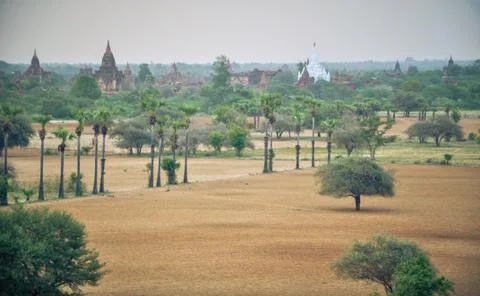Ancient temple in bagan after sunset , myanmar Foto stock
