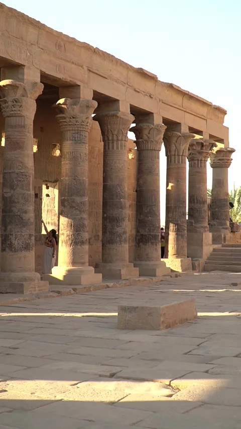 Ancient Temple Columns in Egypt Stock Footage 310275231