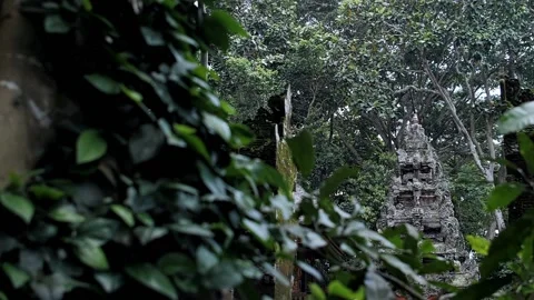 An ancient temple in the rainforest of Indonesia Stock Footage 229824824
