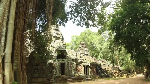 Ancient temple smooth pan from Banyan tree to Ta Som temple Stock Footage 76381480