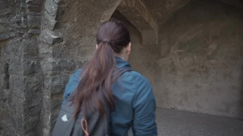 Ancient temples in India Stock Footage 111495425