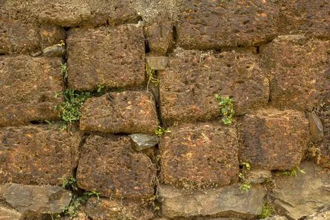 Ancient terracotta wall of stone bricks of different sizes with dry and green Foto stock