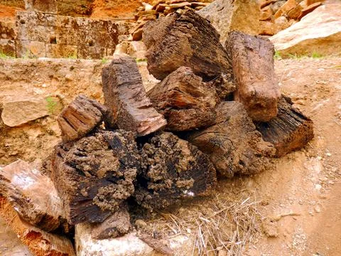 Ancient timber sections Stock Photos