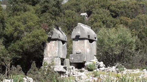 Ancient tombs in forest Stock Footage 37004043