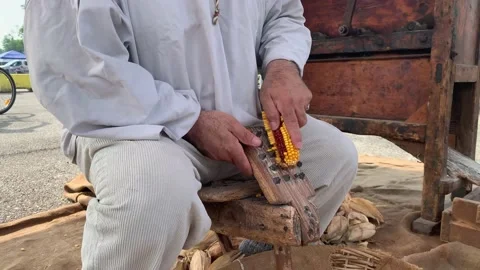 Ancient tool for working corn Vidéo 196603286