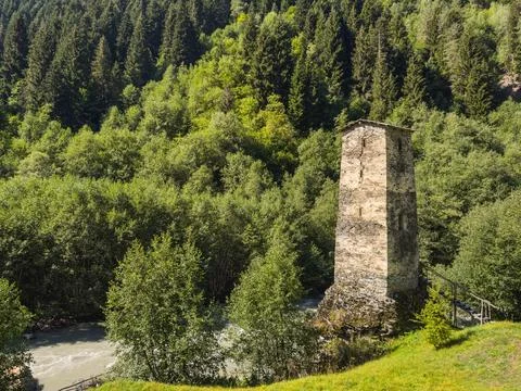 Ancient Tower Amidst Forest Stock Photos
