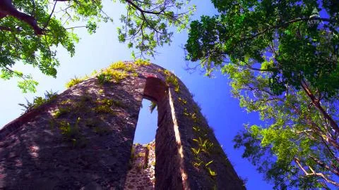 Ancient tower in the forest Stock Photos
