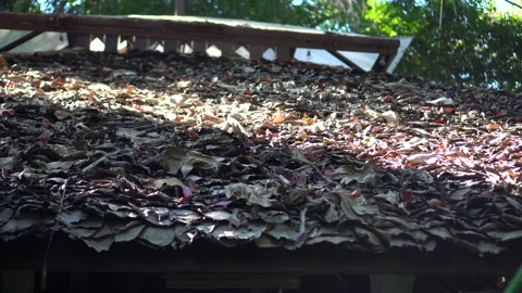 Ancient traditional roofing structure teak tree leaf structure eco friendly.. Video stock 309097663