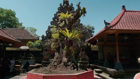 Ancient tree and palace courtyard, Ubud, Bali 库存影片 336514631