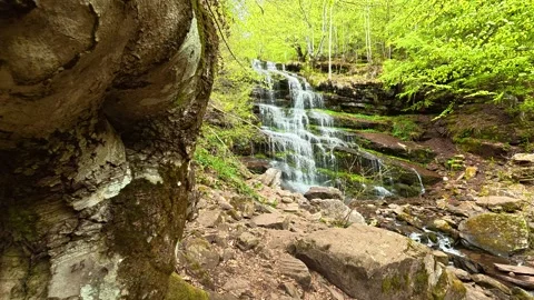 Ancient tree frames a hidden waterfall. Tupavica Waterfall, Serbia Stock Footage 335533684