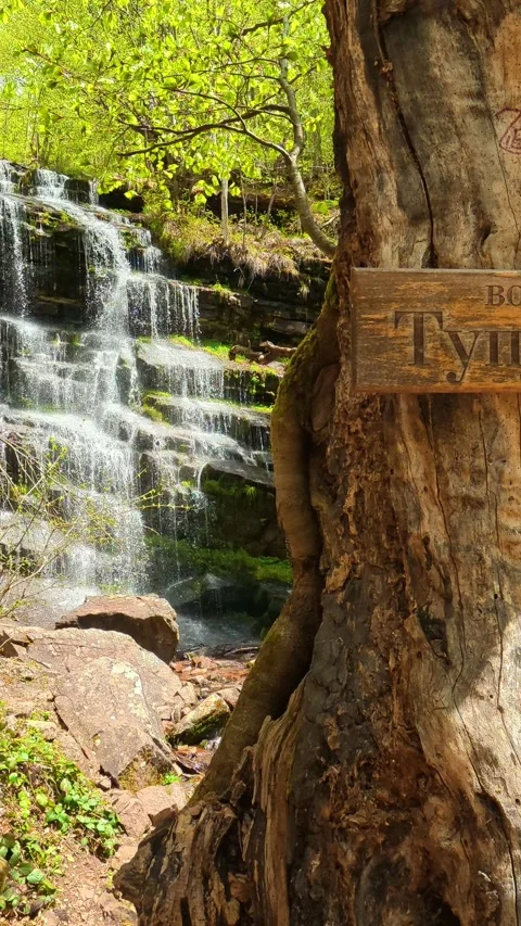 Ancient tree frames a mossy waterfall cascade. Tupavica, Vertical Stock Footage 335947448
