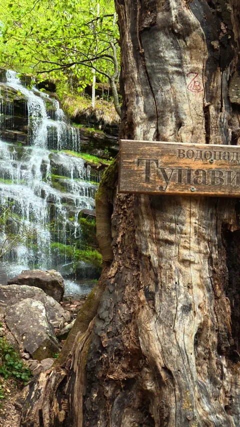 Ancient tree stands beside a cascading waterfall. Tupavica, Vertical Stock Footage 335947439