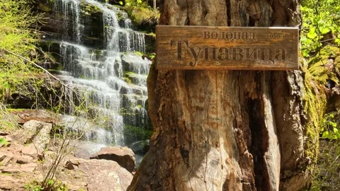 Ancient tree stands beside gentle waterfall. Tupavica Waterfall, Serbia Stock Footage 335533756