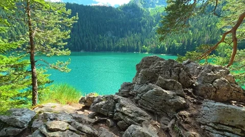 Ancient trees frame a vibrant turquoise lake. Black Lake, Montenegro Vídeo Stock 342973119