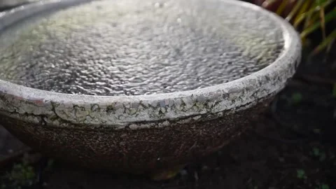 Ancient Vessel with Raindrops Falling Inside – Loopable Animation Stock Footage 307896873