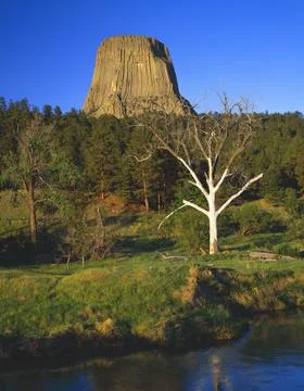 Ancient Volcanic Core, Devils Tower National Monument Stock Photos