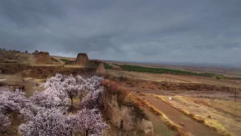 Ancient Watchtowers and Spring Blossoms Under Overcast Sky Beijing China Stock Footage 346570015