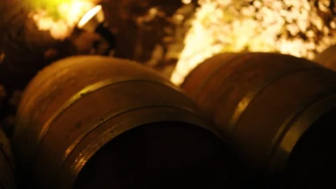 Ancient Wine Cellar with Barrels 動画素材 310829125