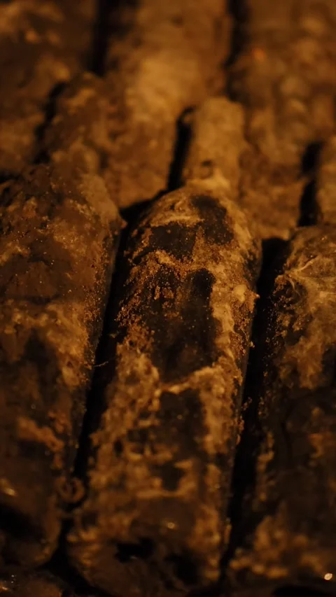 Ancient Wine Cellar Exploration 動画素材 305151009