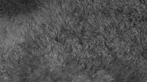 Up and Above Flight Stock Footage 47955171