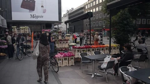 In and around Copenhagen (Denmark) Stock Footage 204816640