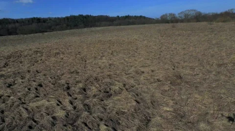 Up and Down Copter fly Stock-Footage 47955129