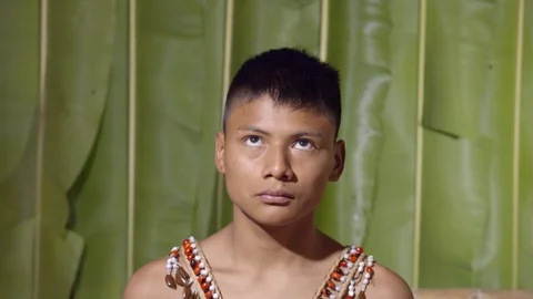 Up and down eyes movement of a young boy like reading very fast or chasing an Stock Footage 113216980