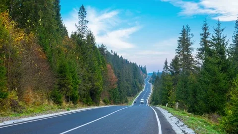 Up and Down Road through the Mountain Forest Stock Footage 82956677