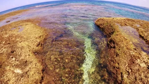 Up and down view look out to blue ocean sea horizon at coral reef sharp rocky co Stock Footage 312344033
