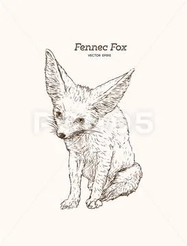 And drawn vintage style sketch of cute funny Fennec Fox. Vector Illustration Stock Illustration