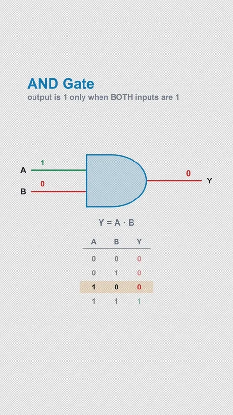 AND Gate Labeled Logic Gate Truth Table Animation Alpha 4K Vertical 9x16 Light 스톡 동영상 339529336