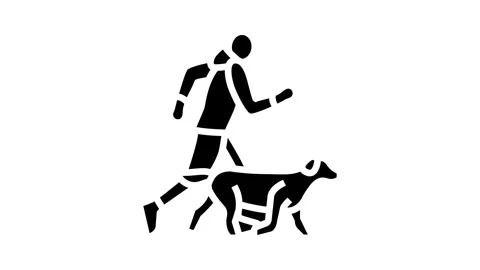 And handler running dog competition show glyph icon animation Video stock 326142247