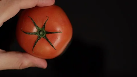 In and Out of Tomato Stock Footage 86130354