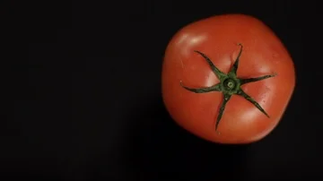 In and Out of Tomatoes Stock Footage 86130917