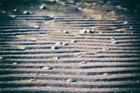And the texture abstract of the white beach Stock-Fotos