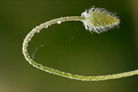 And web drop Stock Photos