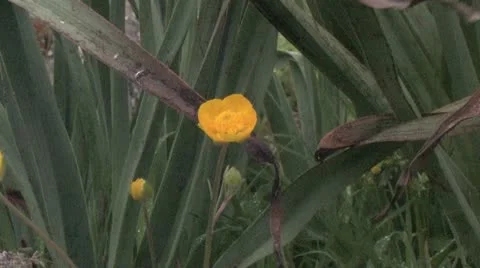 Andalucia in Spain Vídeos de archivo 11899645