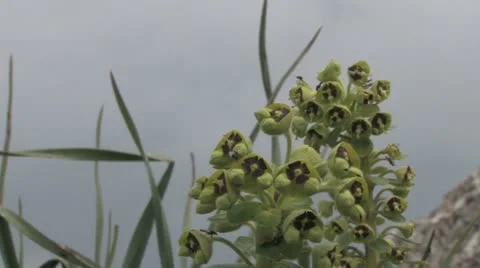 Andalucia in Spain Видео 11899647