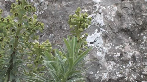 Andalucia in Spain Stockbeeldmateriaal 11899650