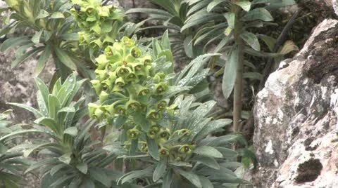 Andalucia in Spain Video stock 11899688