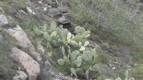 Andalucia in Spain Stockbeeldmateriaal 11900192