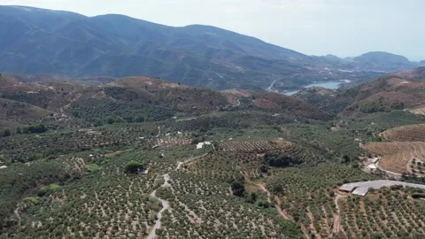 Andalusian olive fields 4K drone footage Video stock 296273581