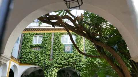 Andalusian patio Video stock 42880772